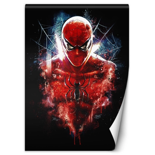 OBRAZY SPIDER MAN KOLEKCJA ARTIST